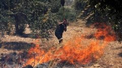 مستوطنون يحرقون أراضي زراعية في نابلس