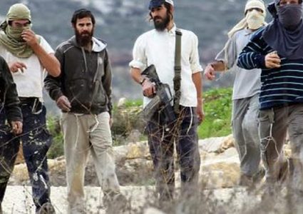 مستوطنون يعربدون على شارع جنين- نابلس