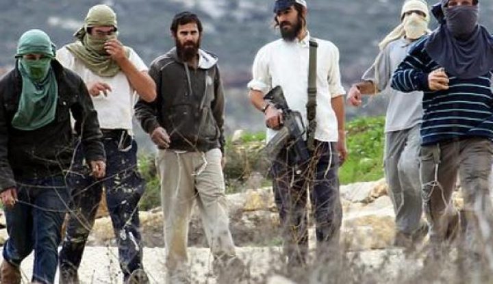 مستوطنون يعربدون على شارع جنين- نابلس