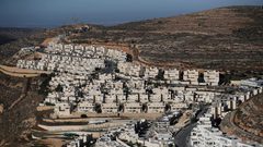 "الألكسو" تدعو المجتمع الدولي إلى التصدي لمخطط الضم