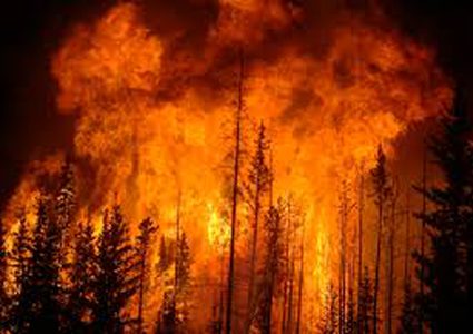 مستوطنون يضرمون النار في الأراضي الزراعية شرق طولكرم