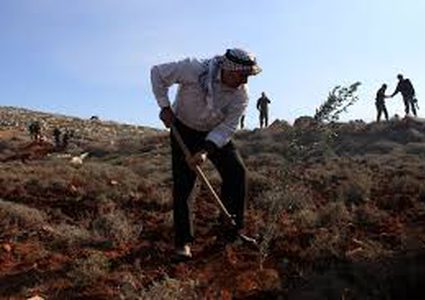 الزراعة تقدم مساعدات للمزارعين المتضررين من المنخفضات الجوية