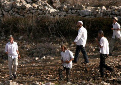 مستوطنون يحرقون 30 دونما زراعيا بمسافر يطا جنوب الخليل