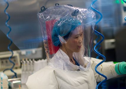 "الباحثة الخفاش" تطالب العالم بالتعاون لمكافحة الأوبئة الجديدة