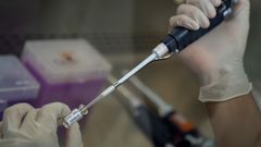 تسجل 11 إصابة جديدة بكورونا في تايلاند