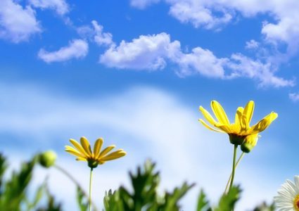 طقس فلسطين: أجواء صافية مع ارتفاع في درجات الحرارة