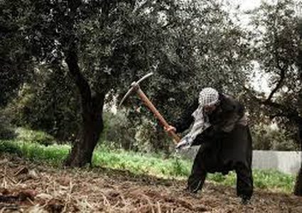 اتحاد الفلاحين:نعي تماما مخططات الاحتلال ونرفض أي تواصل مباشر معه