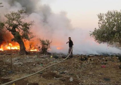 الدفاع المدني يخمد حريقا التهم850 شجرة زيتون وأشجار حرجية في جنين