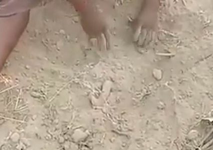 الهند.. الشرطة تحقق في جريمة دفن رضيع لا يزال على قيد الحياة