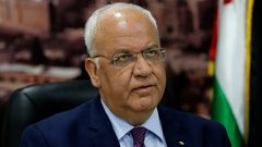 عريقات: على العالم رفع الحصانة عن دولة الاحتلال