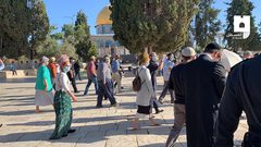 اقتحم أكثر من 75 مستوطنا المسد الأقصى صباح اليوم الأحد وسط حماية قوات الاحتلال