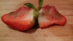 ما هي المشاكل الصحية المترتبة على تناول الأغذية المتعفنة ؟