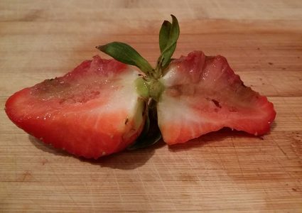 ما هي المشاكل الصحية المترتبة على تناول الأغذية المتعفنة ؟