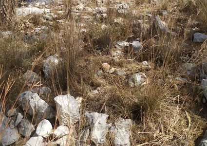 الدفاع المدني يخمد حريقا في أحراش نور شمس شرق طولكرم