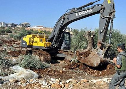 قوات الاحتلال تخطر بإزالة خيمتين سكنيتين شرق يطا