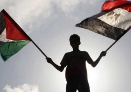 وزير الخارجية المصري يحذر من أي خطوة إسرائيلية لضم أراض في الضفة