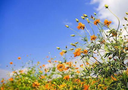 الطقس: ارتفاع ملموس على درجات الحرارة