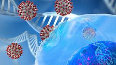 دراسة: المناعة ضد فيروس كورونا تستمر لستة أشهر فقط!