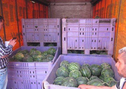 "الاقتصاد" تضبط خمسة أطنان بطيخ من إنتاج المستوطنات