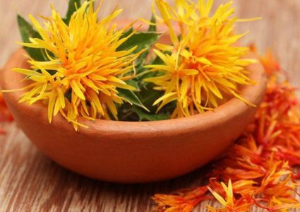 هل يمكن استخدام نبات العصفر عوضا عن وقود السيارات ؟