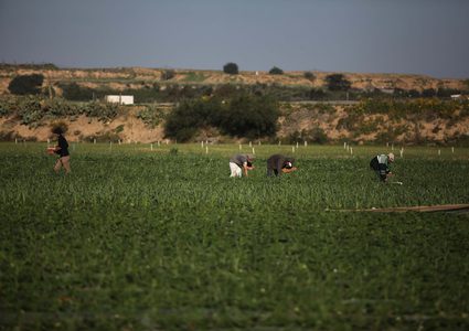 وزير الحكم المحلي: ليس من صلاحيات "حماس" خصخصة أراضي حكومية