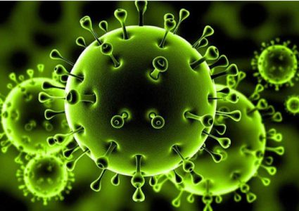 مختص بعلم الأوبئة: فيروس كورونا لن يختفي خلال فصل الصيف