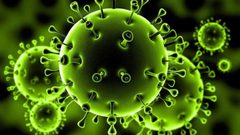 مختص بعلم الأوبئة: فيروس كورونا لن يختفي خلال فصل الصيف