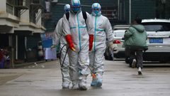 ما هي أكثر الفئات الاجتماعية الأكثر تضررا من كورونا ؟