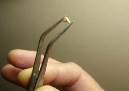 الأرجنتين.. إكتشاف بقايا ضفادع متحجرة عمرها مليونا عام