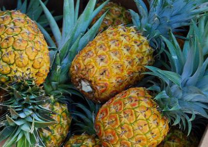 بولندا.. إحباط عملية تهريب براميل الأناناس المليئة بالمخدرات !