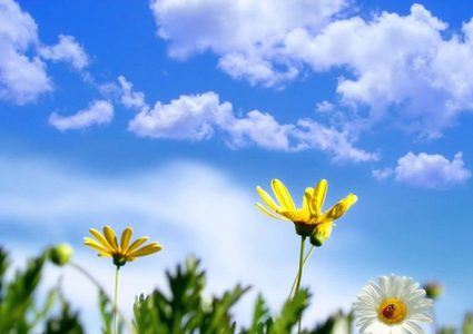 حالة الطقس: الحرارة أعلى من معدلها السنوي