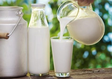 حليب الماعز الافضل لكبار السن من حليب البقر