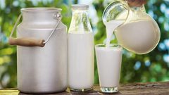 حليب الماعز الافضل لكبار السن من حليب البقر