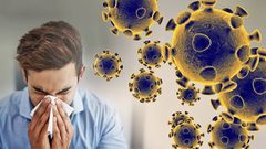 جامعة سنغافورة: نزلات البرد تقلل من خطر الإصابة بكورونا