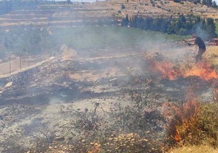 الخليل: إخماد حريقا بمحاصيل زراعية وأشجار في يطا
