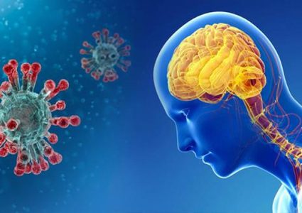 دراسة: فيروس كورونا قد يصيب الدماغ ويتكاثر داخله