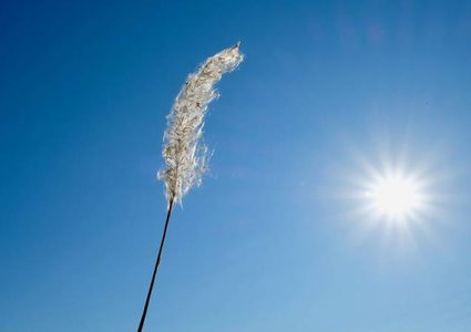 الطقس: ارتفاع ملموس على درجات الحرارة