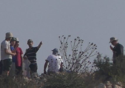 مستوطنون يحرقون أراضي في قرية بورين جنوب نابلس