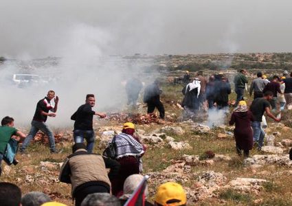 رضوان: فعاليات الأغوار بمثابة رسالة شعبية سلمية للمجتمع الدولي