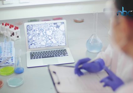 الأشخاص الذين ينتمون لفصيلة الدم( O) هم الأكثر مقاومة لكورونا