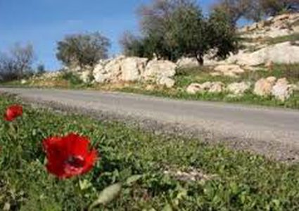 الطقس: أجواء معتدلة والحرارة أدنى من معدلها اليوم وغدا