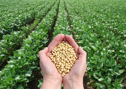 صرف 731 ألف دولار لـ62 مزارعا من غزة