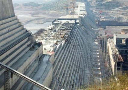 شكري: تصريحات إثيوبيا بشأن سد النهضة استفزازية