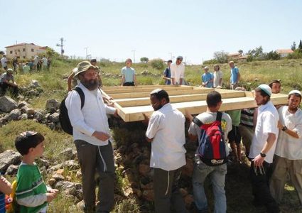 مستوطنون يستولون على عشرات الدونمات من أراضي في العيسوية