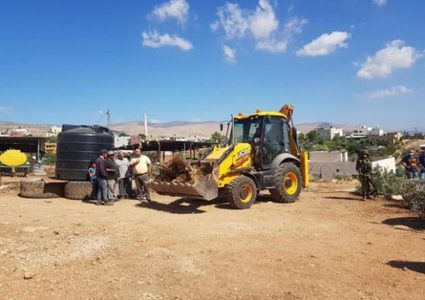 اقتلاع عشرات أشجار الزيتون في قرية بردلة بالأغوار الشمالية