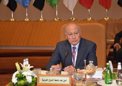 أبو الغيط يحذر من عواقب قرار الضم الاسرائيلي على المنطقة بأكملها