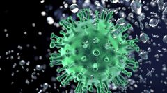 الخياط : سنشهد خلال الأيام القادمة ارتفاعا بعدد الاصابات بكورونا