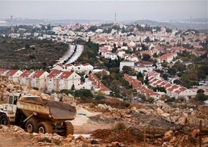 مستوطنون يستولون على عشرات الدونمات من أراضي في العيسوية