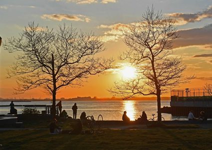 دراسة حديثة توضح بالتفصيل تأثير أشعة الشمس على كورونا