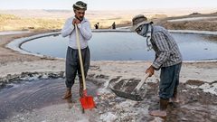 قرية الملح العراقية تتغلب على الخسائر الاقتصادية لوباء كورونا